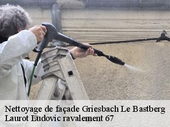 Nettoyage de façade griesbach-le-bastberg-67330 Laurot Ludovic ravalement 67