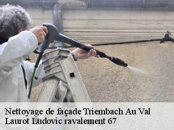 Nettoyage de façade triembach-au-val-67220 Laurot Ludovic ravalement 67