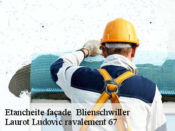 Etancheite façade   blienschwiller-67650 Laurot Ludovic ravalement 67