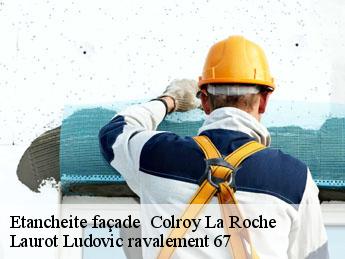Etancheite façade   colroy-la-roche-67420 Laurot Ludovic ravalement 67