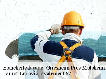 Etancheite façade   griesheim-pres-molsheim-67210 Laurot Ludovic ravalement 67