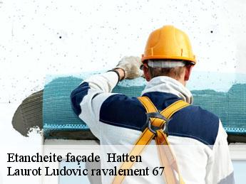 Etancheite façade   hatten-67690 Laurot Ludovic ravalement 67