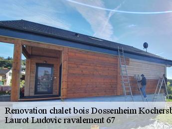 Renovation chalet bois dossenheim-kochersberg-67117 Laurot Ludovic ravalement 67