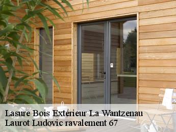 Lasure Bois Extérieur la-wantzenau-67610 Laurot Ludovic ravalement 67